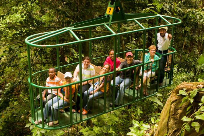 Rain Forest Sky Rides